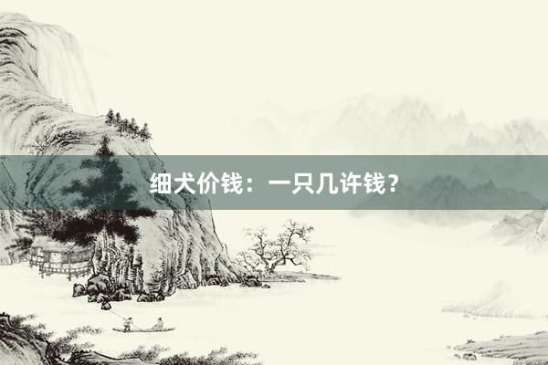 细犬价钱：一只几许钱？
