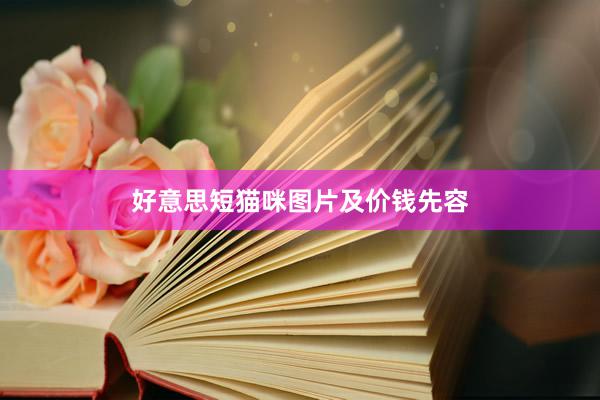 好意思短猫咪图片及价钱先容