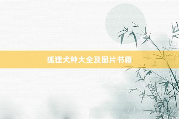 狐狸犬种大全及图片书籍
